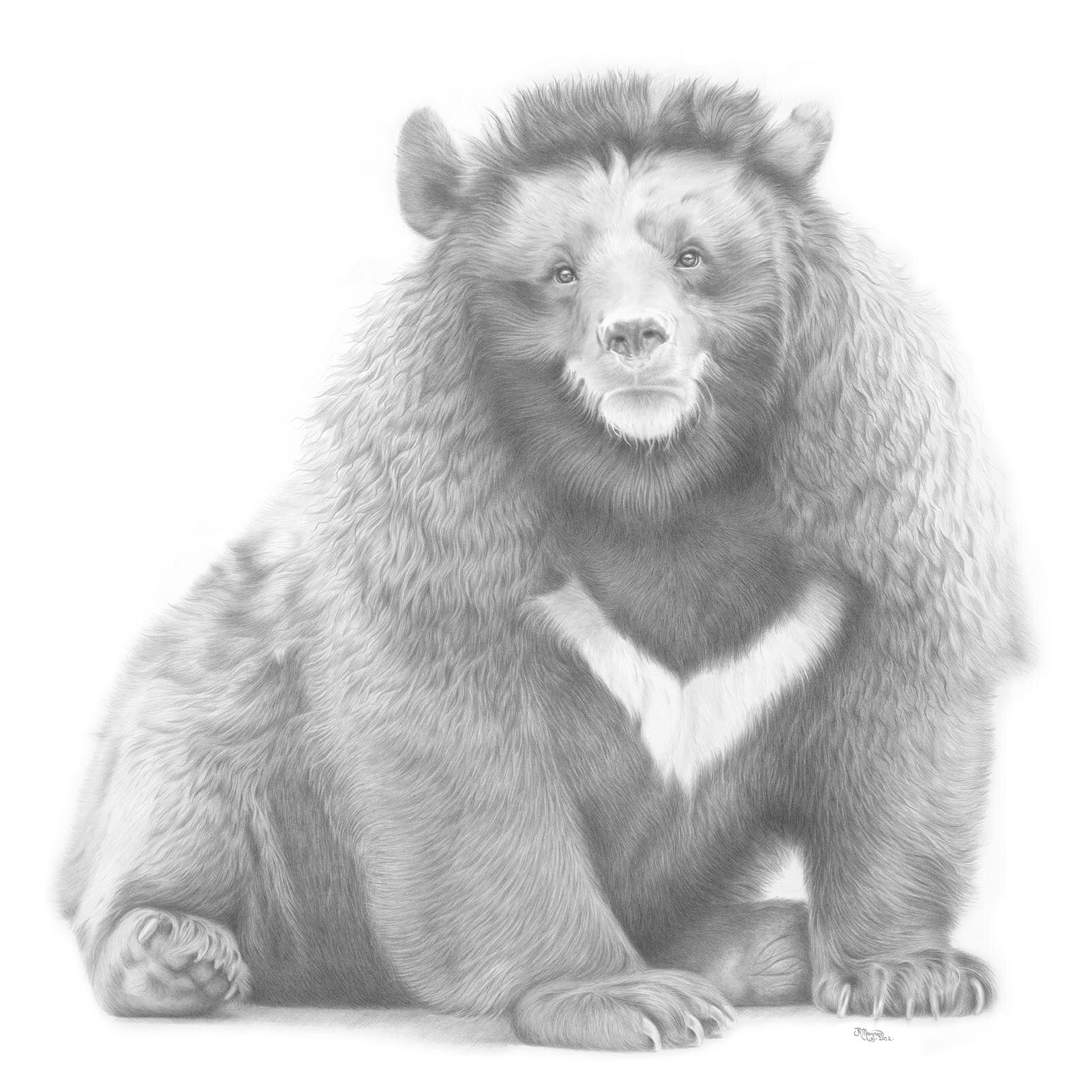 ArtbyJoMaynard's profile picture. I am a Pet and Wildlife Artist specializing in detailed pencil drawings... commissions welcome! :D Please check out my work: http://t.co/aiQzhheGKE