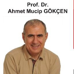 Ekonomist, Ekonometrist,  Öğretim üyesi,Politikacı