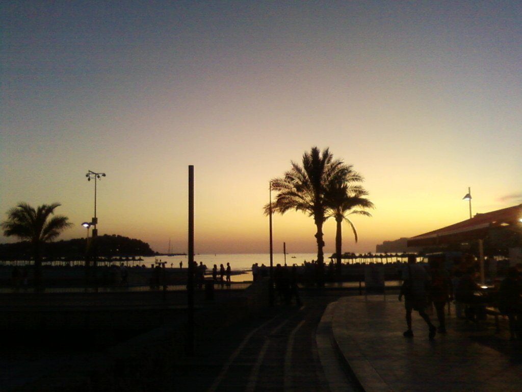 ramn_mg's profile picture. Principiante