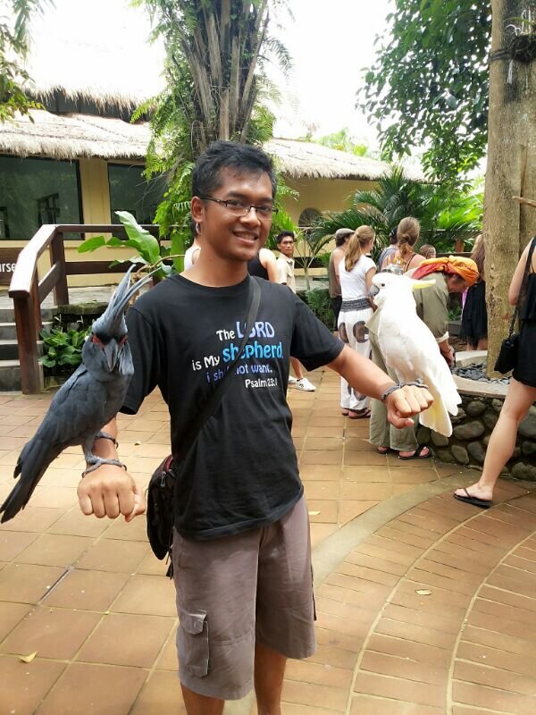 nico_halomoan's profile picture. .....................