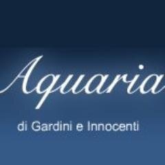 Negozio di acquariologia a Firenze dal 1991 con due punti vendita. Vasta esposizione di pesci di acqua dolce e marini. Acquari delle migliori marche e su misura