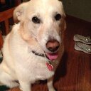 Amanda Kincaid - @thanksandjoy - Twitter