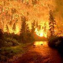 ivan toribio - @ivantj1436 - Twitter