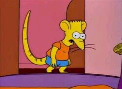 Nueva cuenta, seguirme y os daré fav.