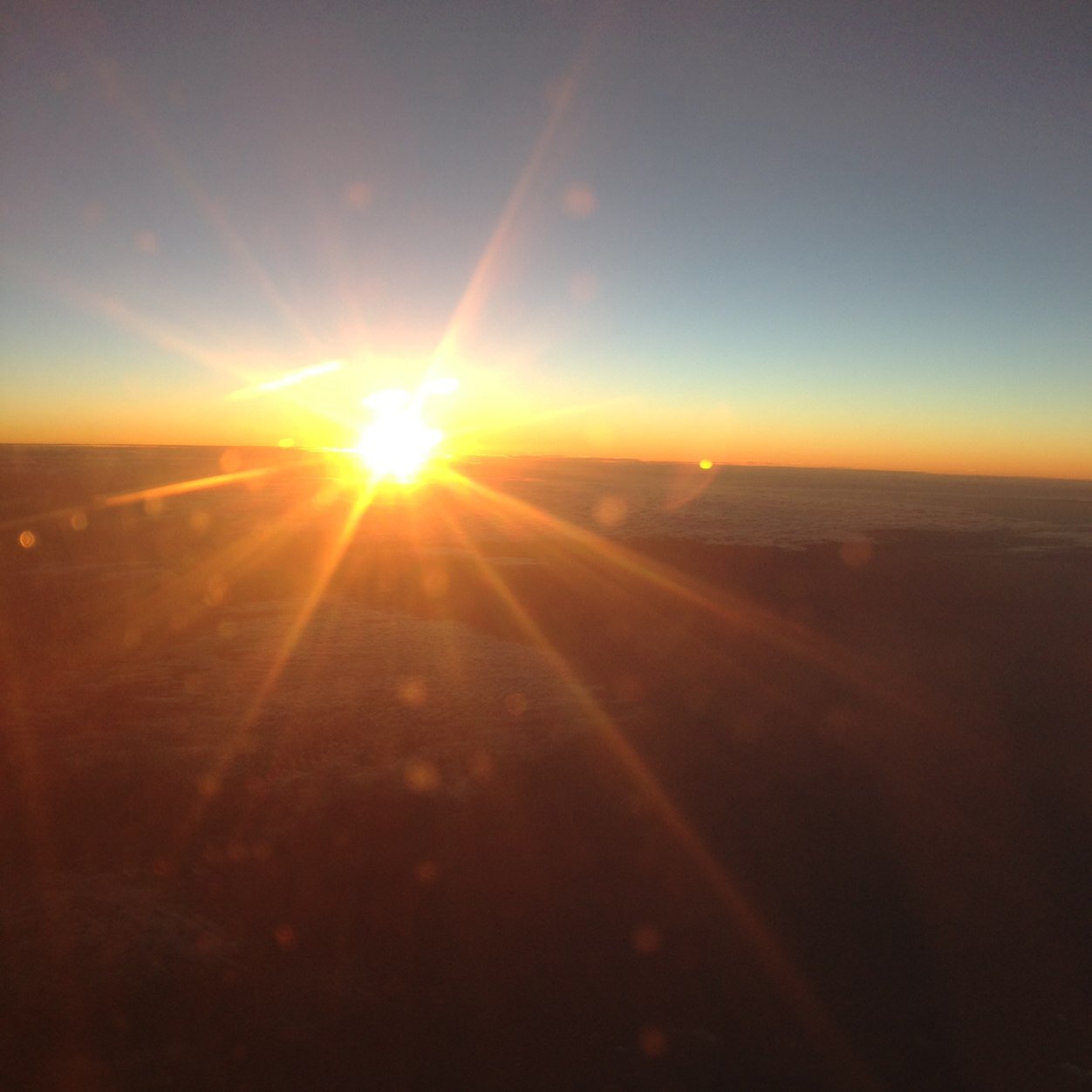 LokyGanjaTime's profile picture. 