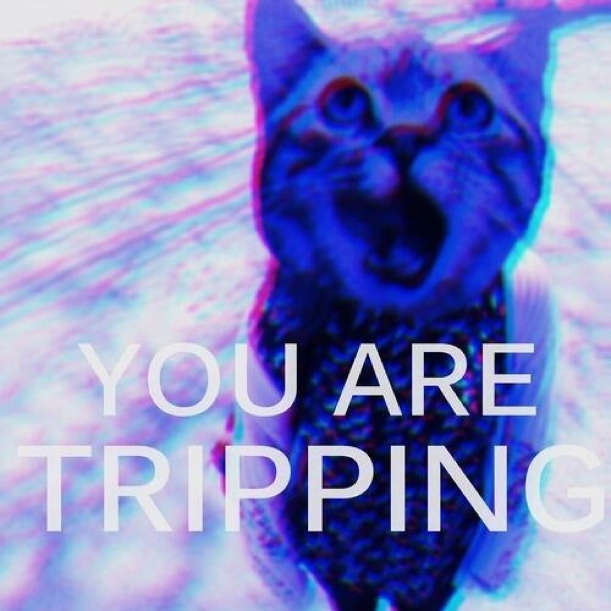 In your bitches lap #2Hi2Care
