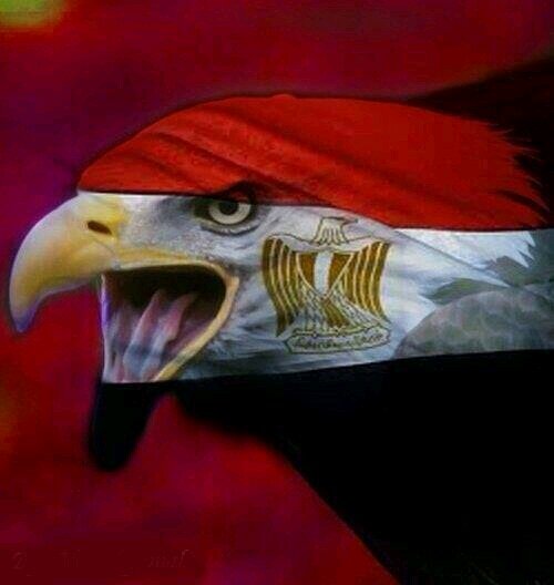 ‏‏اناضد الفساد بكافة أشكالة و بعشق تراب بلدي