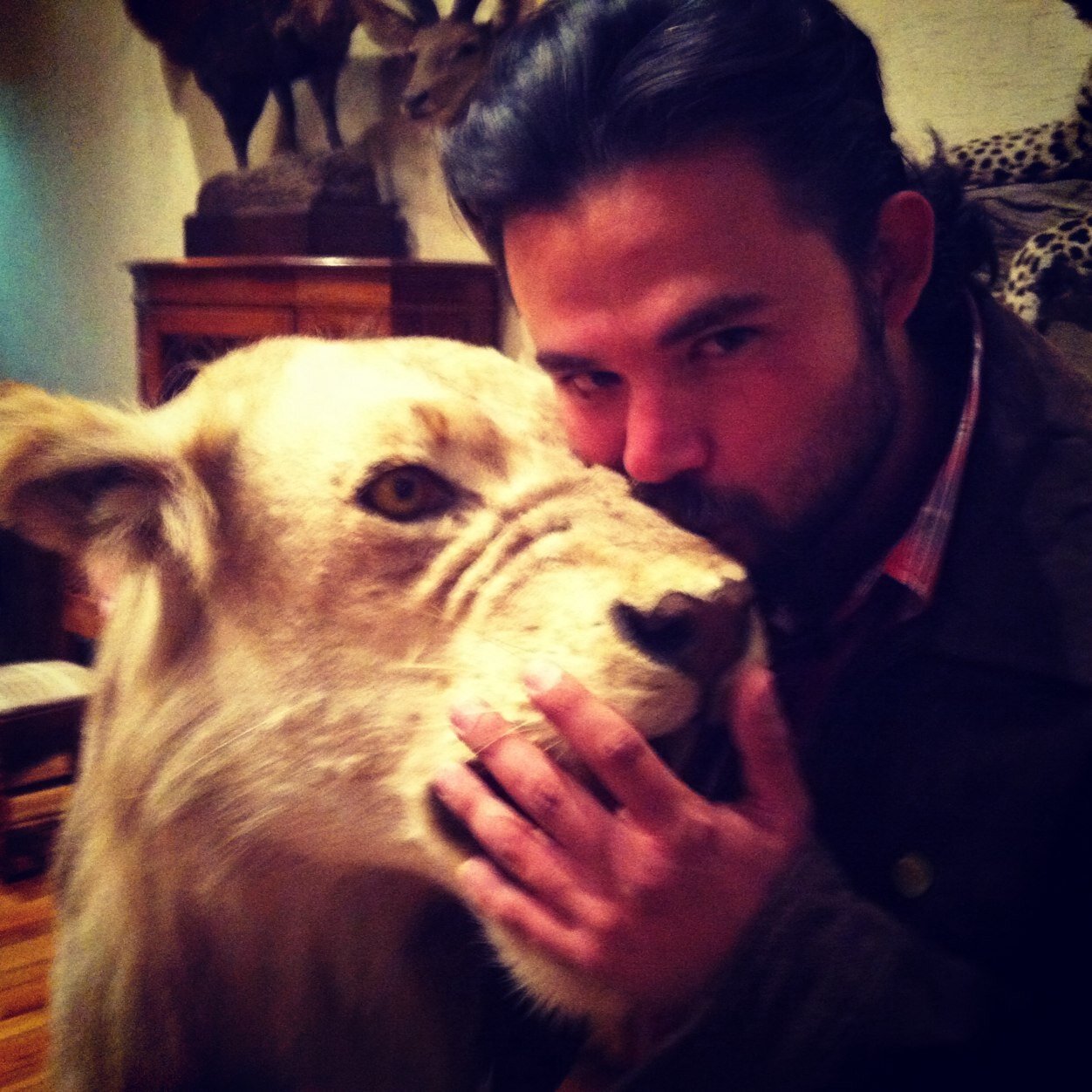 que si eso es el amor? Personaje, asi es mejor dicen. Yo al menos no estoy pretendiendo ser alguien que no soy .. Jack Daniels