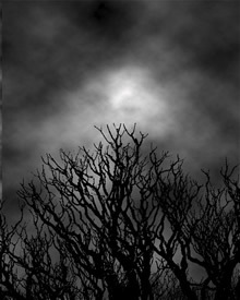 twilighttrivia's profile picture. Twilight Trivia!