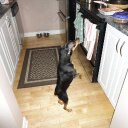 Colleen Travers - @mscocobell - Twitter