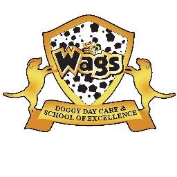 WagsDogDayCare Profile Picture