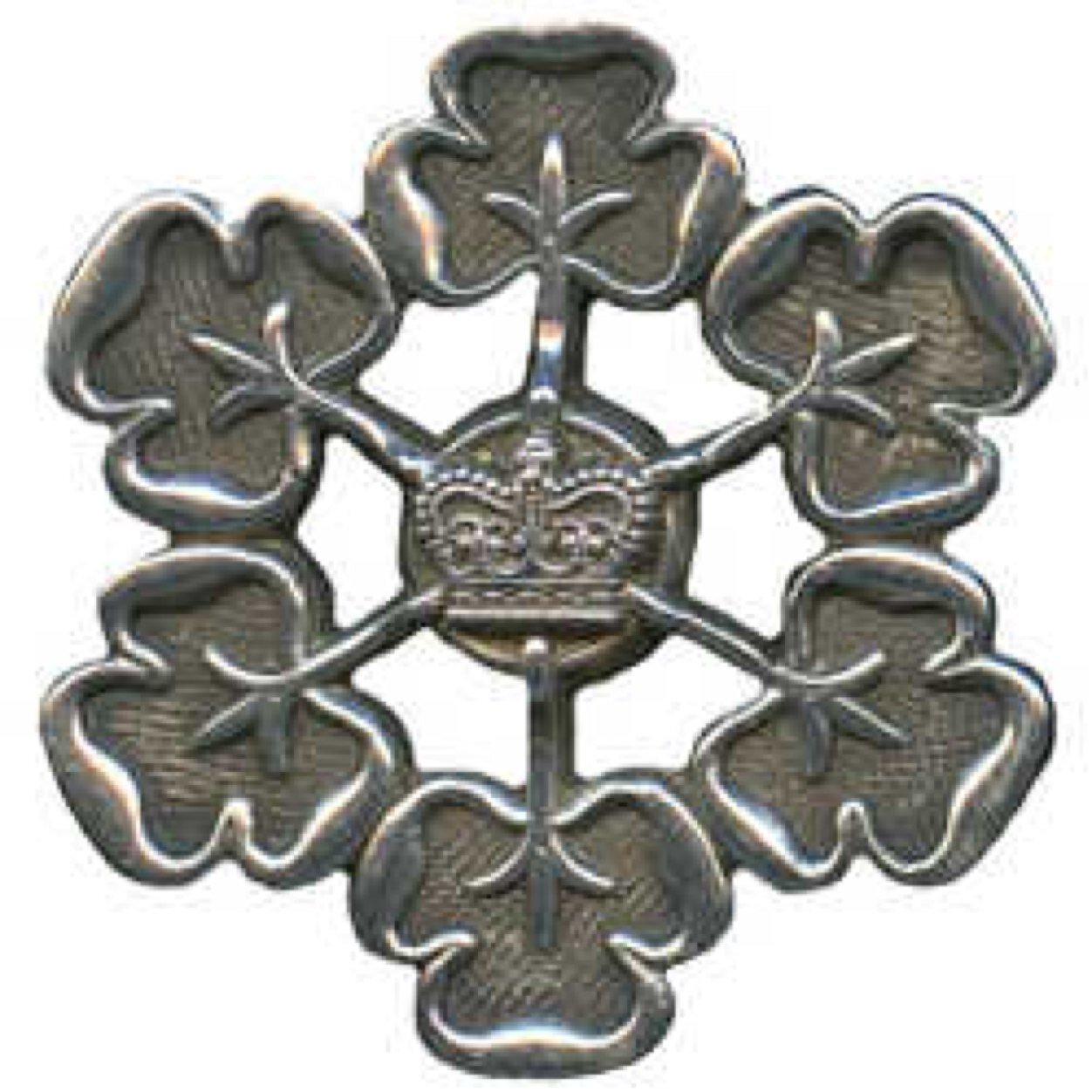 Supporting Queens Guide Candidates in the County of Berkshire

Email us at queensguides@girlguidingroyalberkshire.org.uk for more info!