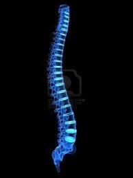 We are experts in structural correction of the human spine. Let us show you how good you can feel and move!  607-277-2570