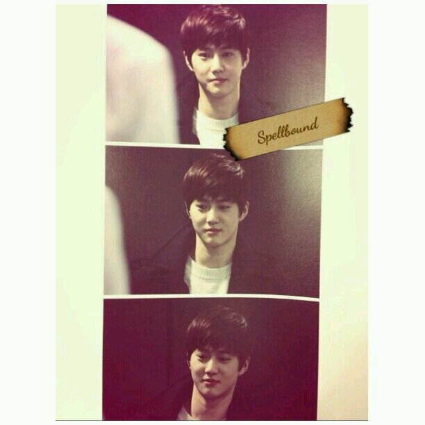 โจรมยอนบอทหื่น สติไม่มีหาดีไม่ค่อยได้ツ พร้อมจะดีเอ็มกับผมหรือยัง  #ฟอลแบคบอท #justbothnotreal #SUFFERFAM