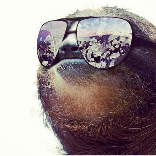 vinkemeier's profile picture. 