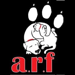 Free or low-cost spay/neuter, rescue, pet adoption for Jackson County NC