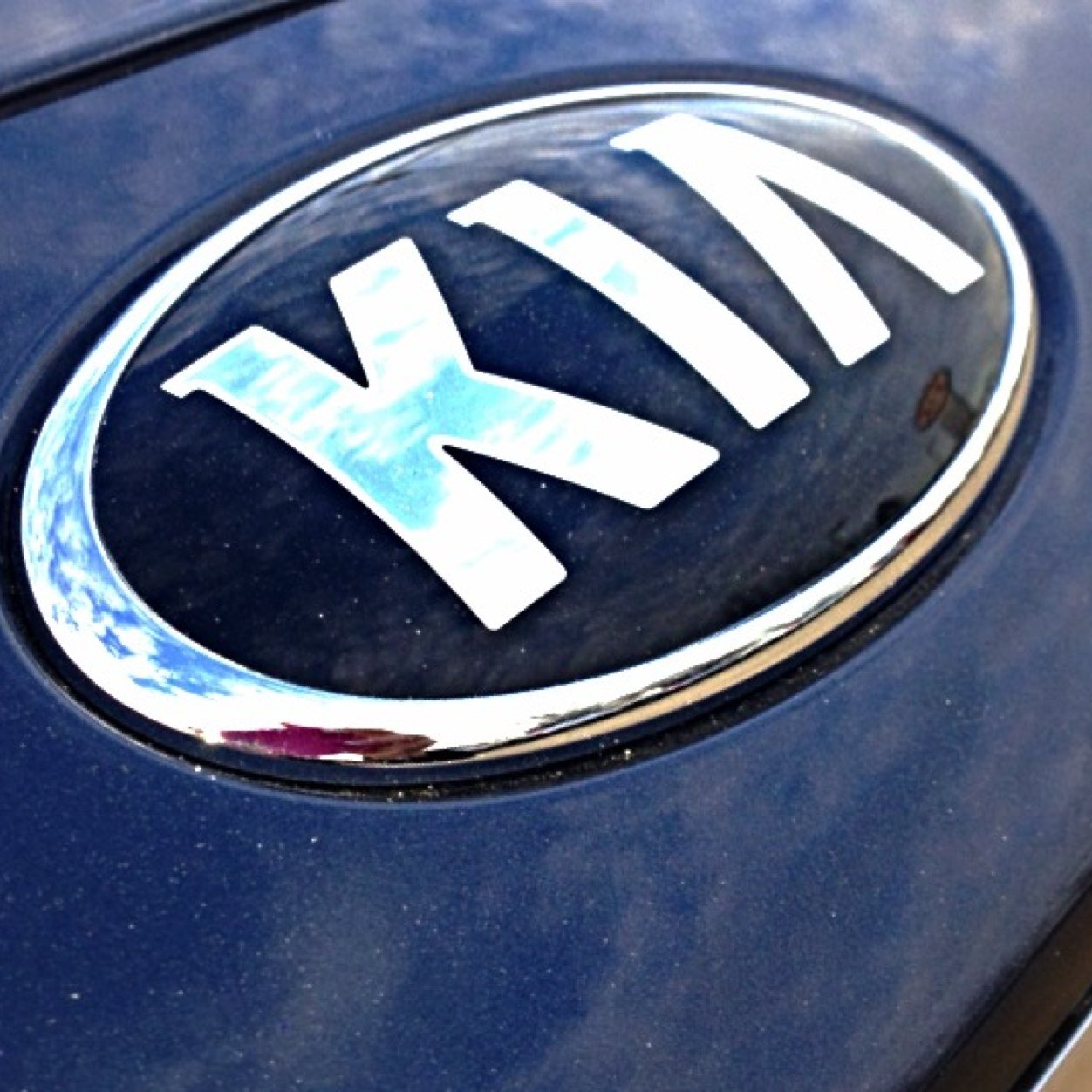 Proudly serving our community and Georgia for over three years. We are located just 10 miles from KIA Motors Manufacturing Georgia. 706.298.5024