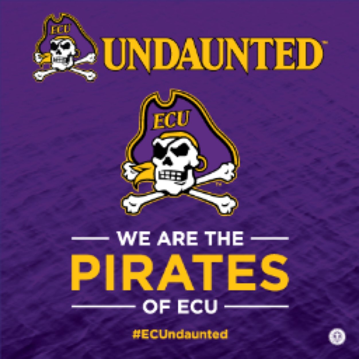 #ECU