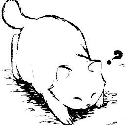 金子　啓介さんのプロフィール画像