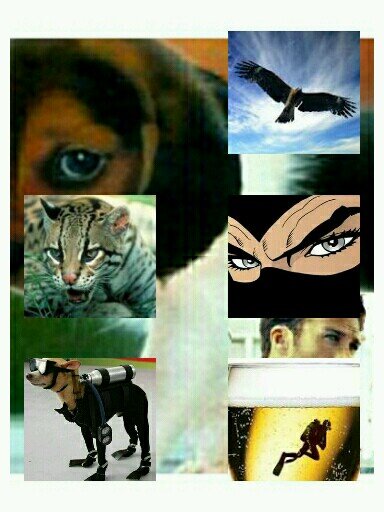 Kayakanoa's profile picture. Quando ti senti sicuro è facile stare vicino agli altri