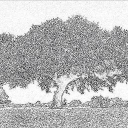 ArganChef's profile picture. Functions/Events/Dining/Nutrition