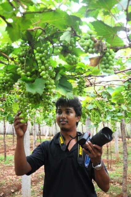 sihanfarook5's profile picture. journalist