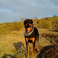 Jon Spatz (@jonspatz) 's Twitter Profile