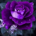 valerie ayers - @divadane - Twitter