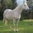 TexPatch's profile image