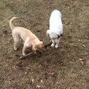 Peter Monfort - @PeterPgm29 - Twitter