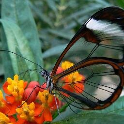 EL1202SL's profile picture. 