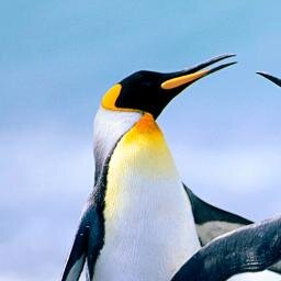 LuisCSantillan's profile picture. After all this time?
Always