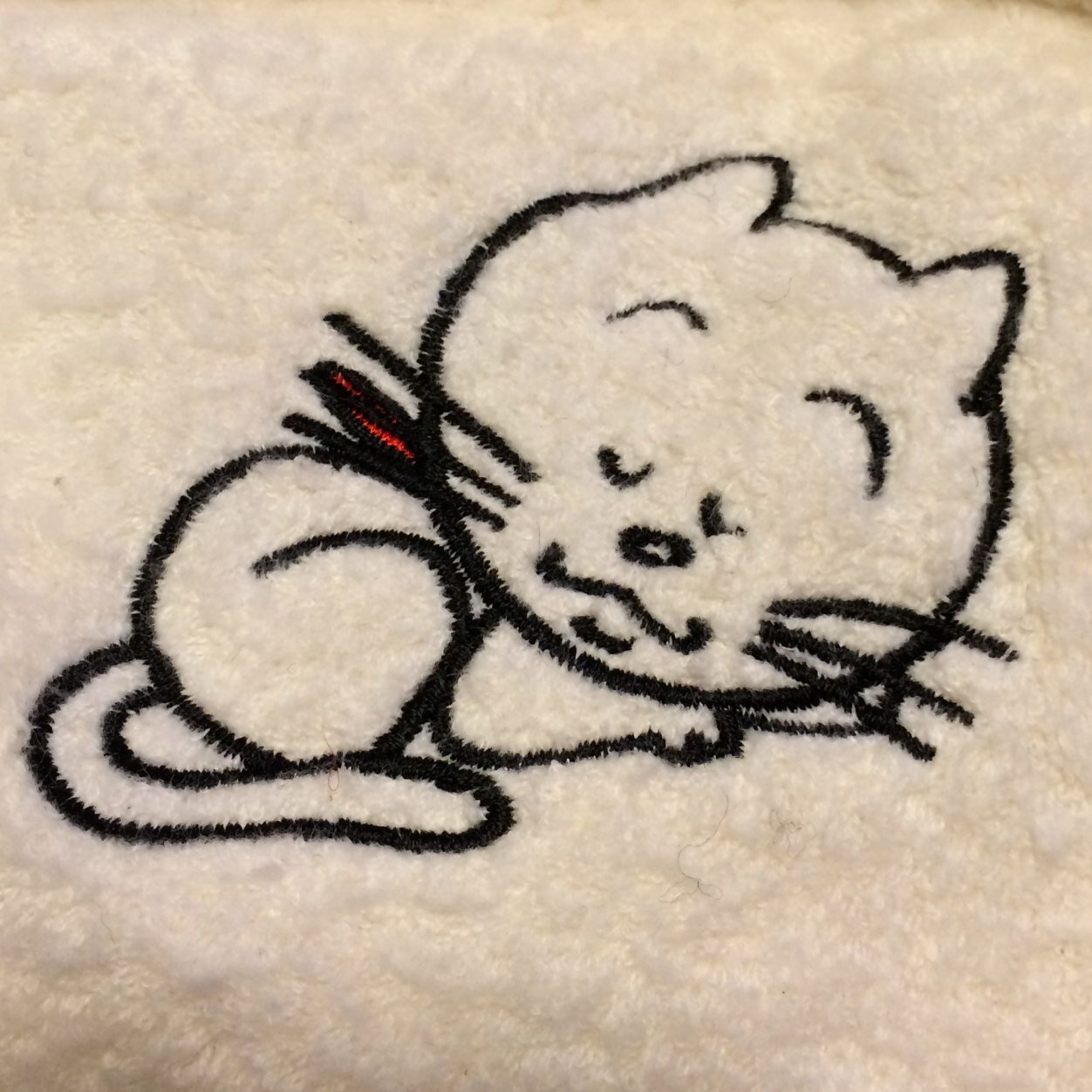 笑いとユーモアは大事だなと思っています。音楽/舞台/映画/漫画/植物