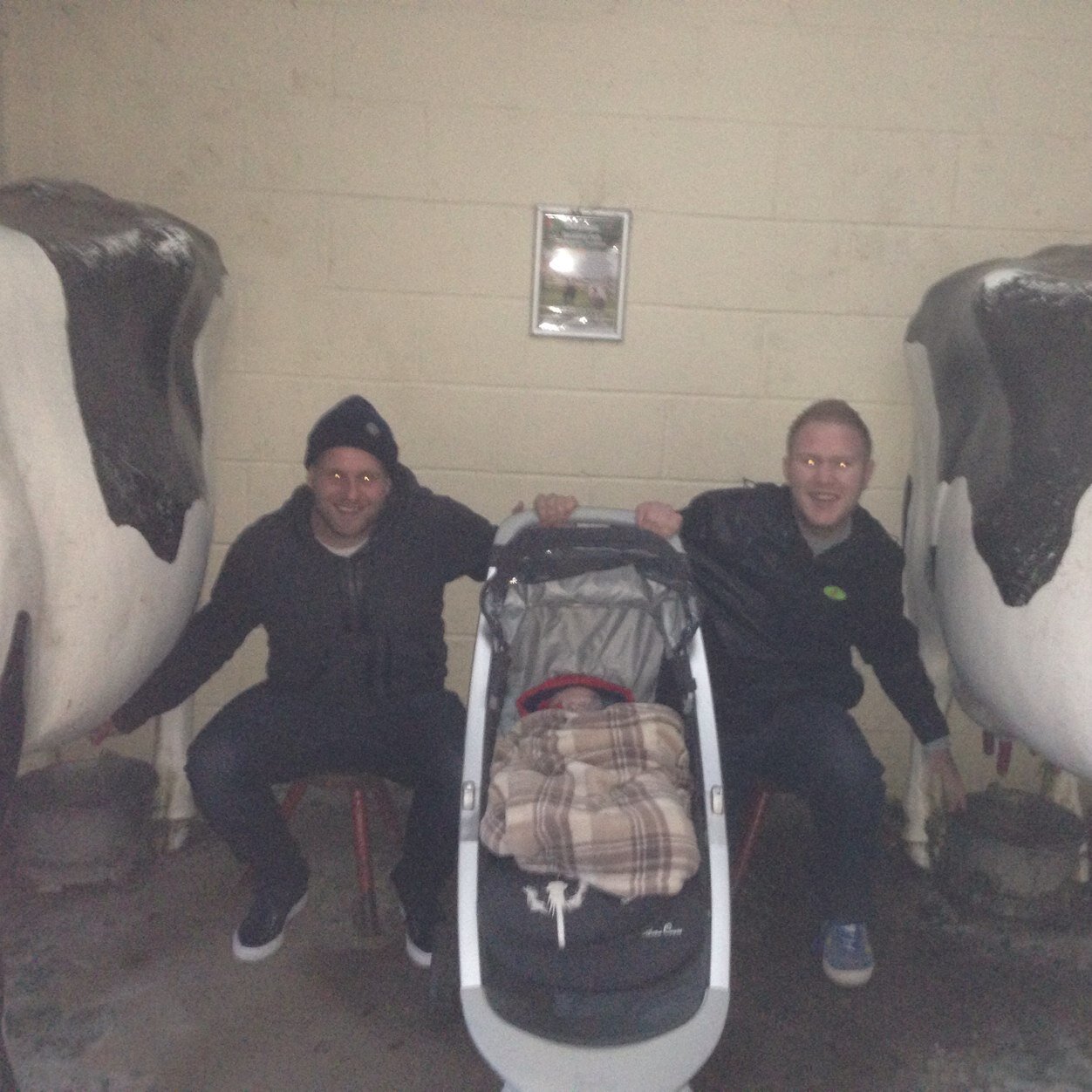 Rob_StevensonRs's profile picture. @allprodecor