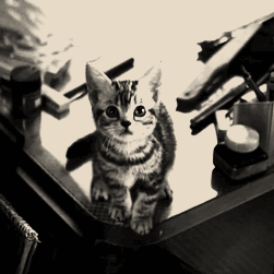 lenin7x's profile picture. La vida es un sueño y los sueños, no son mas que sueños