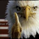 derek.hibbs.4296@mai - @Derek1831 - Twitter