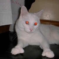 ☀️ (@oliviap4328) 's Twitter Profile Photo ☀️ (@oliviap4328) 's Twitter Profile Photo