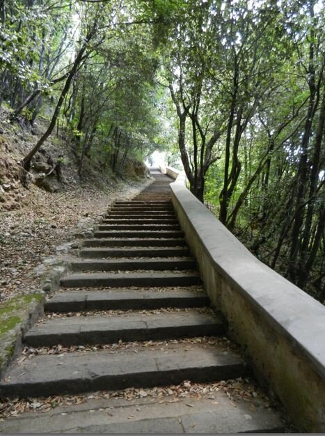 BodyByOw's profile picture. Go until you can't stop and then keep going.