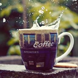 arinat4's profile picture. Try to learn something about everything and everything about something.
Thomas Henry Huxley (1825-1895)