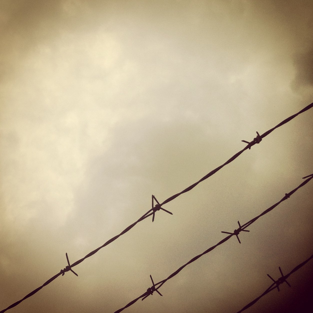 eiqui's profile picture. 