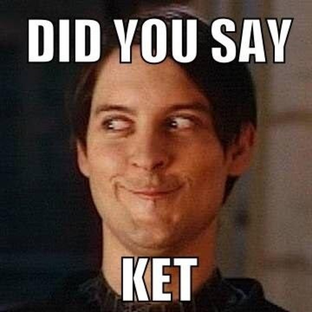 ibiza house memes on twitter \ RfXGtFY ibiza house memes on twitter \