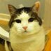 Heather Foster๐จ๐ฆ (@heather_foster) Twitter profile photo Heather Foster๐จ๐ฆ (@heather_foster) Twitter profile photo