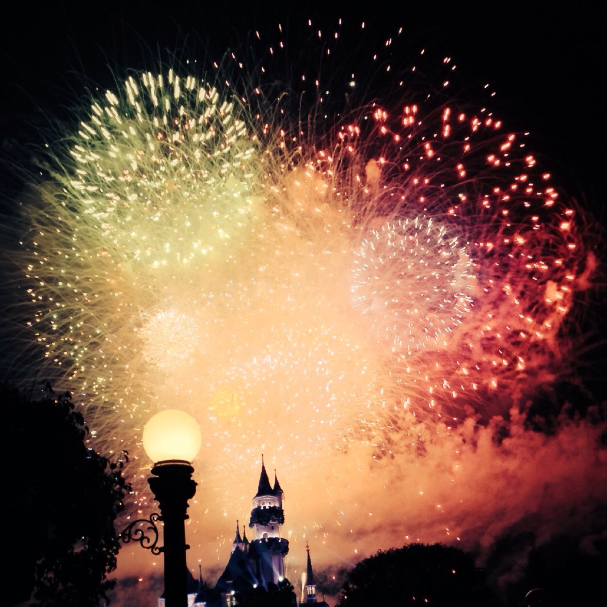 small_wins's profile picture. 