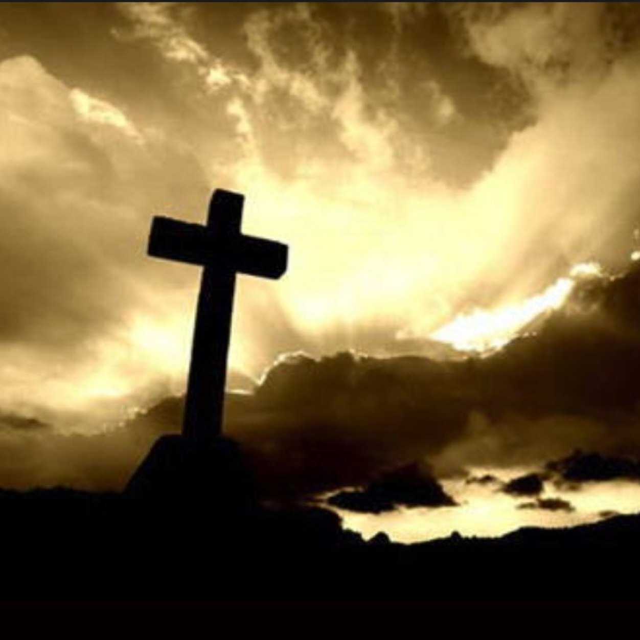 Not affiliated with a school. DM for prayer requests or to request a God tweet. If you request a tweet, you will not be mentioned; God gets the glory.