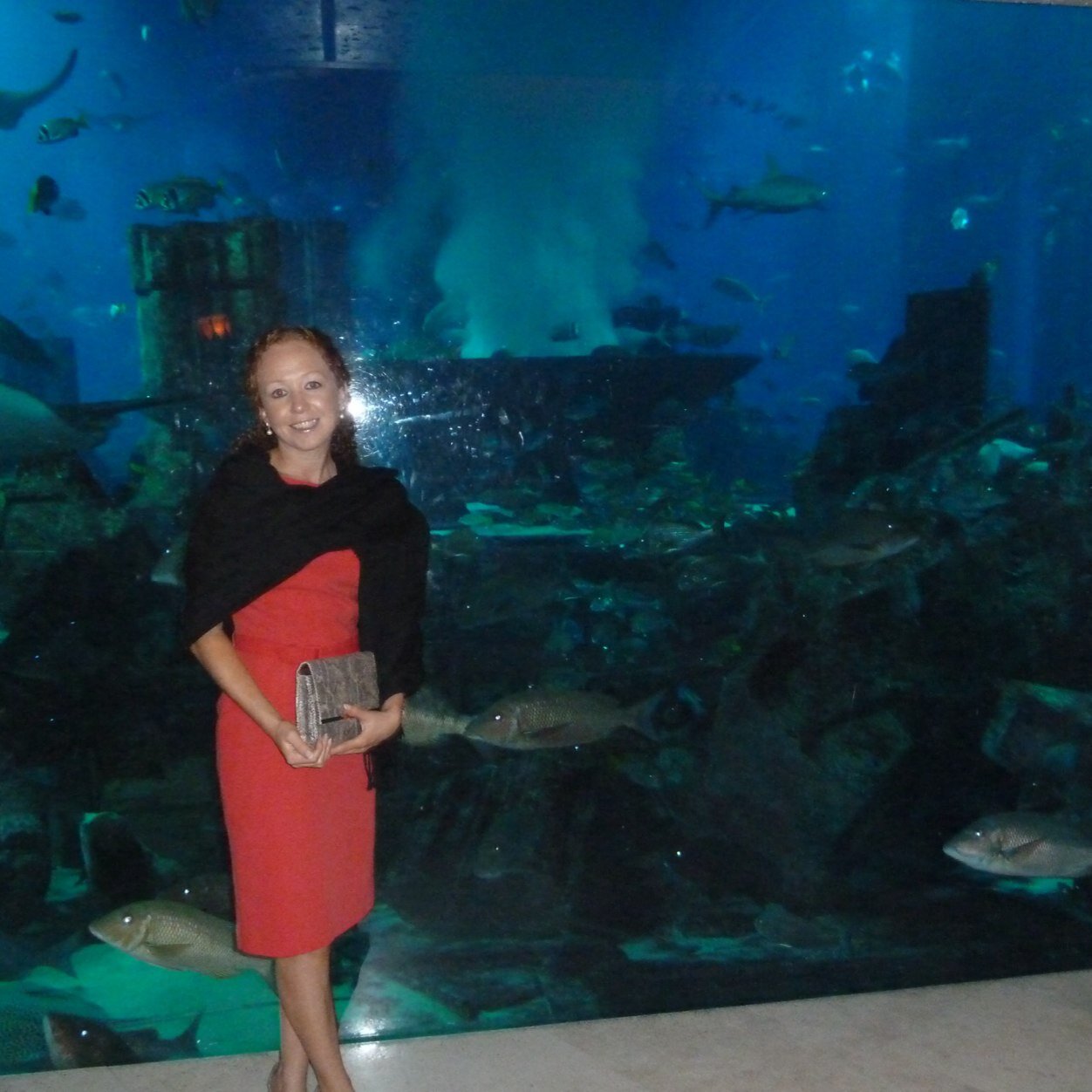 SarahBastin1's profile picture. 