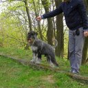 Daniel Piotrowski - @salimelfara - Twitter