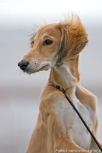 etely2's profile picture. 