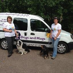 DogsMogs's profile picture. Professional, friendly, insured, DBS checked, dog walkers & cat feeders, covering Watford & surrounding areas. Services include let out & pet taxi.