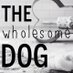 The Wholesome Dog (@thewholesomedog) Twitter profile photo