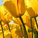 marcelo duran andres - @cdskf - Twitter